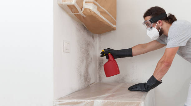 Professional Attic Mold Removal technician working in Nashville, IL