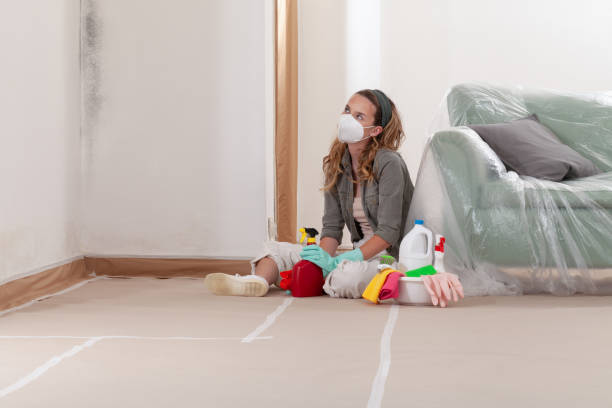 Reliable Attic Mold Removal contractor in Nashville, IL by WQB Mold Removal